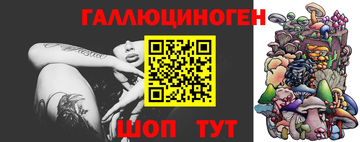 Корсаков  Псилоцибиновые грибы прущие грибы  как найти наркотики  Вход с VPN  Галлюциногенные грибы Psilocybine cubensis 